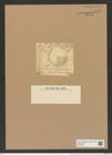 Aulacodiscus radiatus Grev. (de-Toni-Nr.: Genus 182, Species 4552) Zeichnungen Sammlung Grunow Nr. 8158 (NHMW-BOT-W0377522)